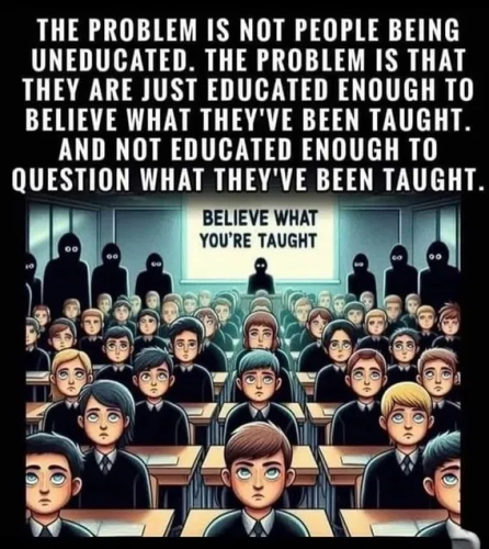 image_2025-01-13_065223527