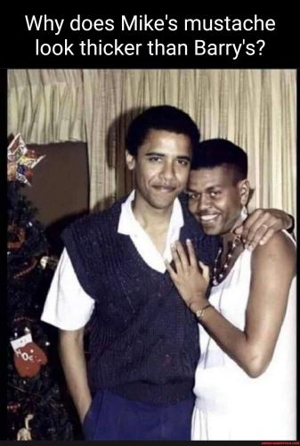 560baa9a94295cc0b0d234f9d661746ac4efc5e6b350cbc0cd47be5529cab0d6_1