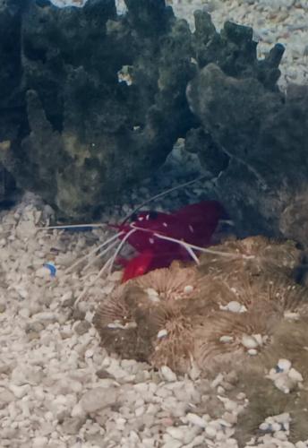 Screenshot_20250118_182639_Messages