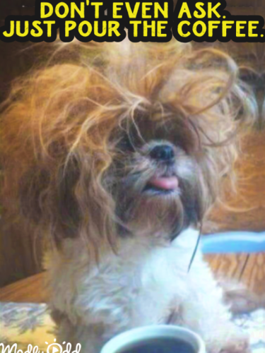 a55247f825b2677ee06fc3d500df56d2