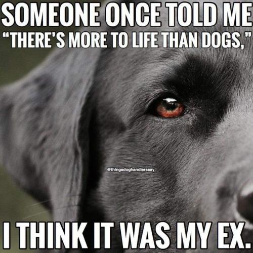 c4a0901b574740f7d2c21176f3449033