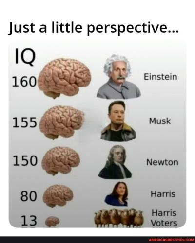 d1b2b1f1789bed1bdb58ca0786ceb0a0a416eb3e031674659109e7f8fb34e4f1_1