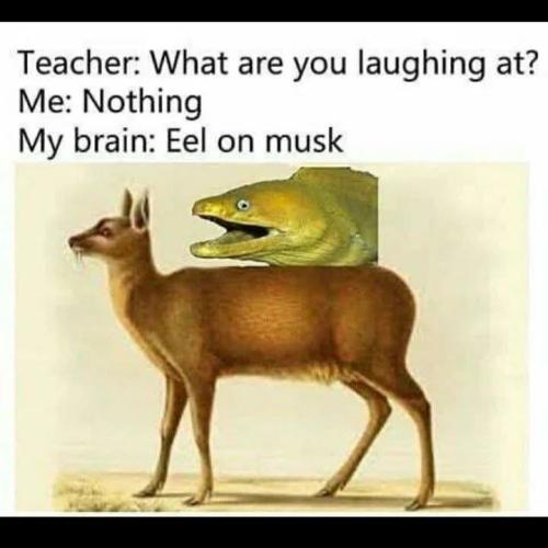 FB_IMG_1735713116336