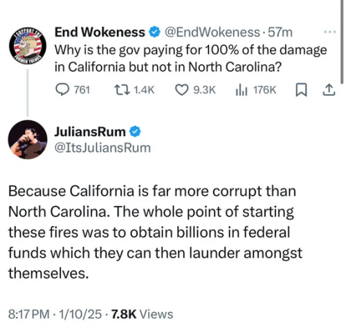 image_2025-01-11_114250884