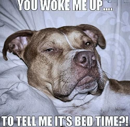 FB_IMG_1738180528637