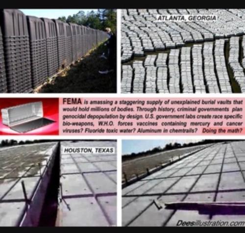 IMG_20250129_171820_508