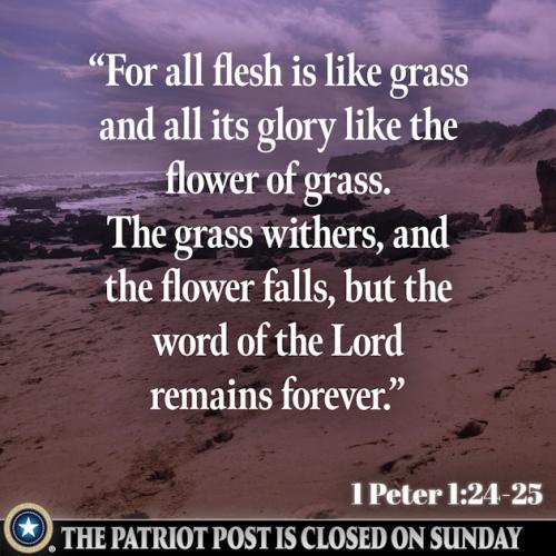 01JH8RFSWZHECPBJ2EHH6XE3EE