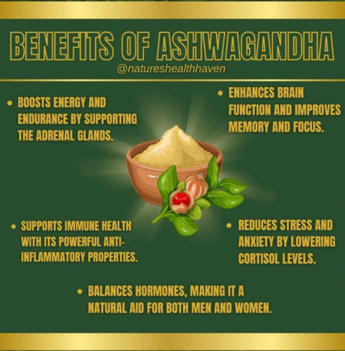 Screenshot 2025-01-06 171900