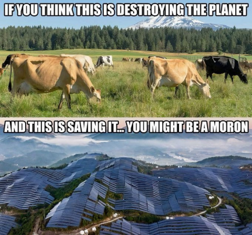 image_2025-01-11_092748226