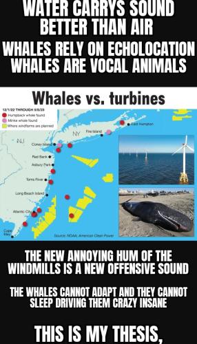 ZomboMeme 26012025093522