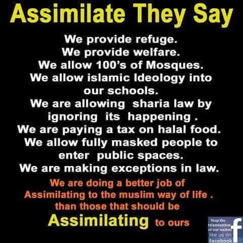 assimilate they say
