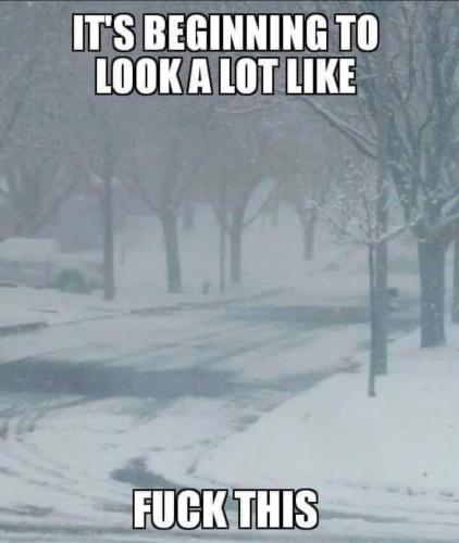 image_CC68C767-8537-4FB5-96A1-281C3E28CA97