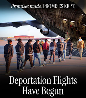 illegal immigration500