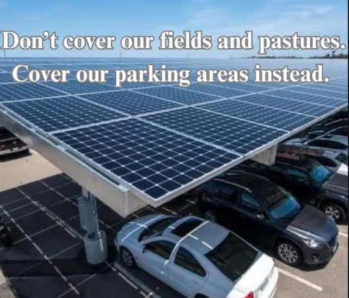 Screenshot 2025-01-29 140725