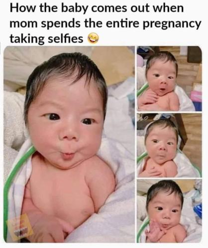 Screenshot_20250108_114319_Gallery