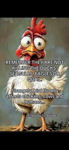 Screenshot_20250131_130518_Gallery