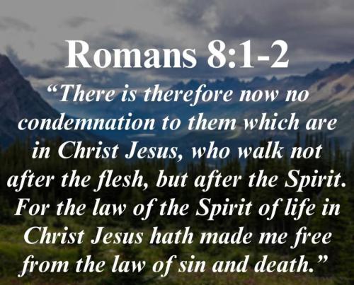 13567ed7-aecc-42b9-b6c9-412be1ffe72c