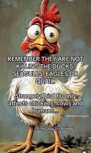 IMG_20250129_230416_576