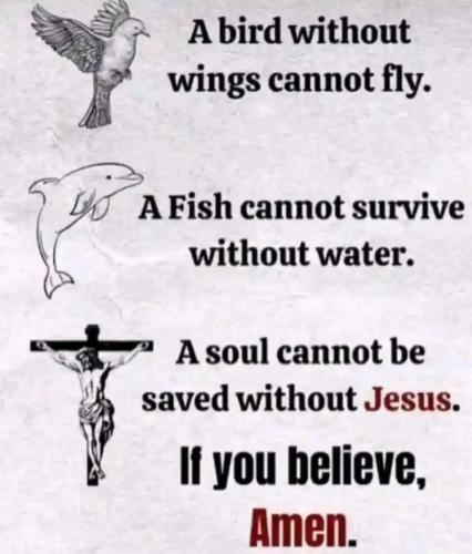 258824a6-e4cd-426e-bcfb-2a05894bf93b