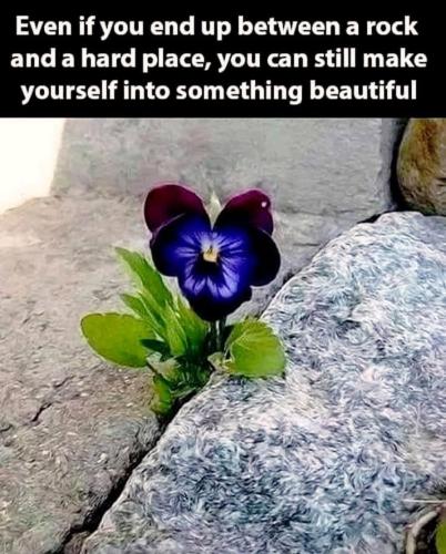 9B3DBBB5-0DD8-4C5A-96F7-18B60411E359