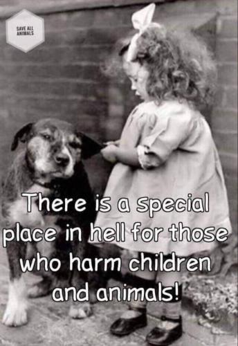 9aa261e35bfaa86bc767a8b06fafeece