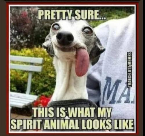 34BBE9CC-EBE2-425C-A738-F07CEFA522CA