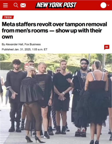 image_2025-01-31_174918764