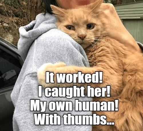 7ceb82bc2bc97faf1f8c256a3aeec49f