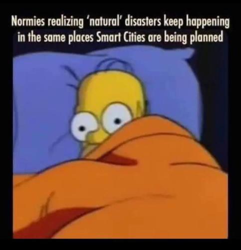 photo_2025-01-12_20-25-16