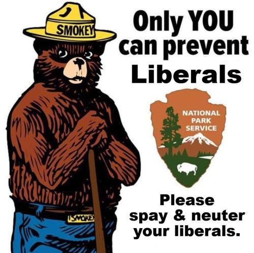 Only you can prevent liberals2.960px