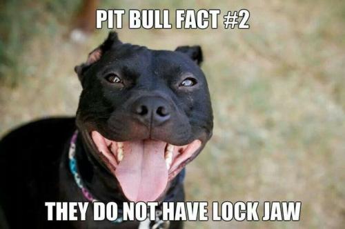 a8926db419517e96208a85511c4c44ce