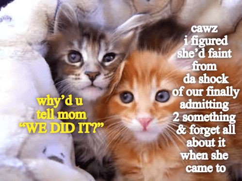 5beb6ce6278698030b9a96dda95e92fe