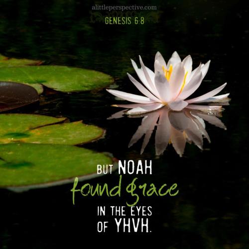 gen-6-8-KJV-pixabay-1