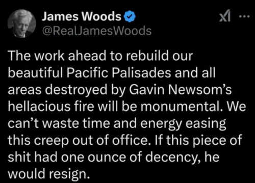 image_2025-01-13_062527212