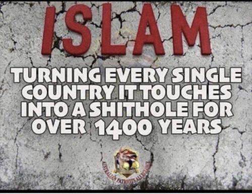 IMG_20250104_110150_719