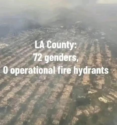 Screenshot_20250113-110311_Brave