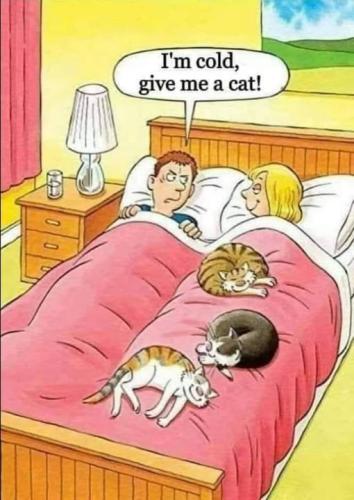 473075621_9499306826760453_5121827578394628096_n