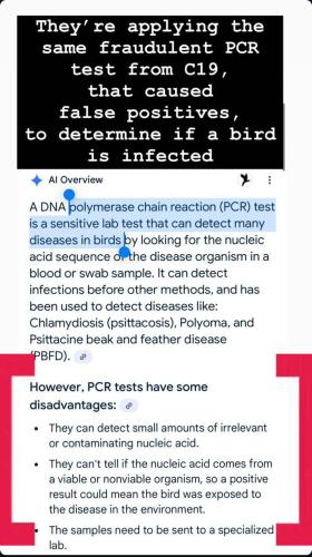 photo_2025-01-04_21-20-58
