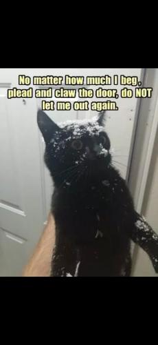 Screenshot_20250110_190557_Gallery