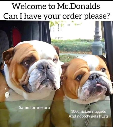 BULLY'S - Welcome to McD's IMG_9933