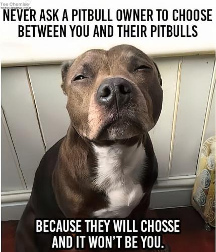 FB_IMG_1736027237679