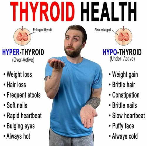 Screenshot 2024-12-23 183404