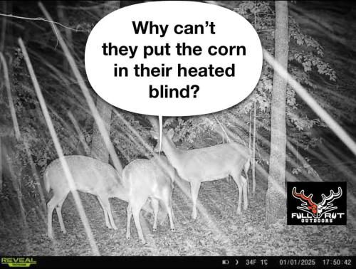 FB_IMG_1736199598551