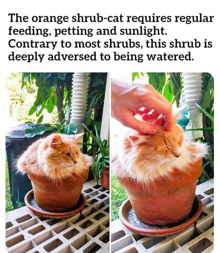 44EC11FE-D87E-4C83-8D00-58E56E7300AA