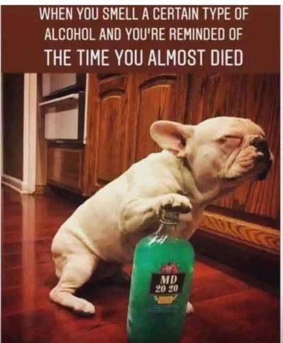 eae543ba7e70ecb5af4733eb42b080ed