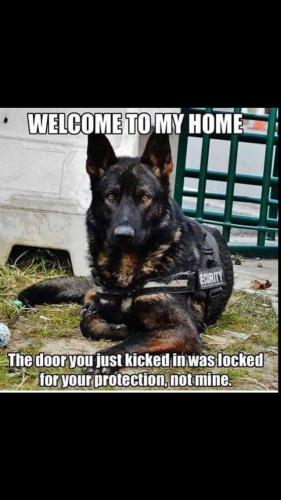 1d5ee0af5d60620b04ea080e3f2a1d6a