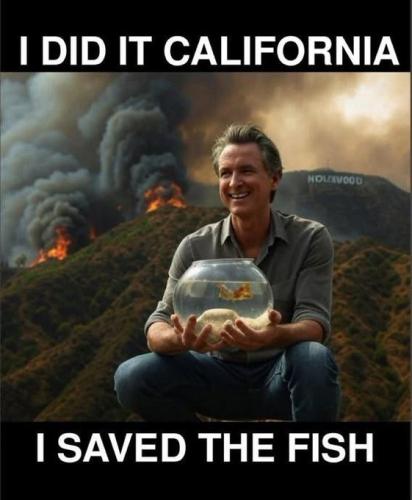 saved the fish