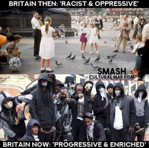 IMG_20250103_055456_006