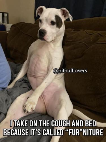 FB_IMG_1736883379811