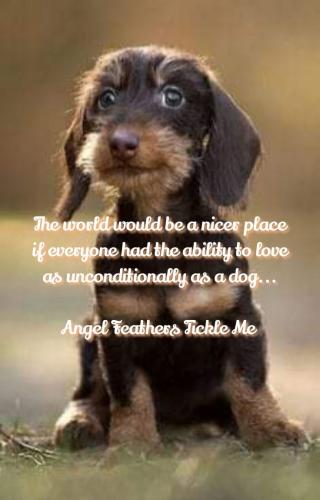 7a2935bd0e9258e9f7be13eaf9ccc18e